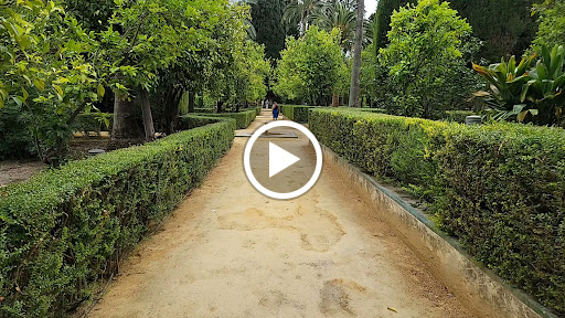 23943 jardines alcazares 1