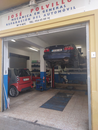 24155 jose polvillo