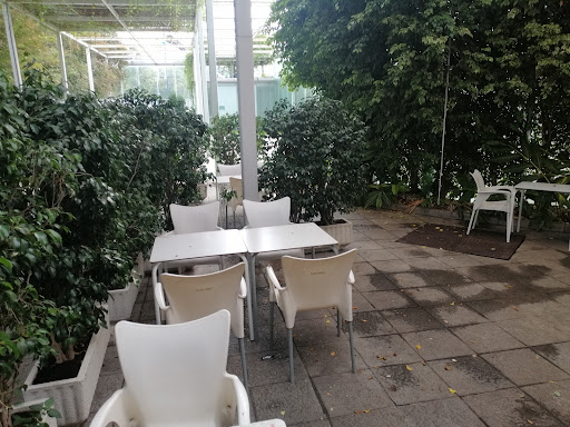 24555 klasiko kartuja 1