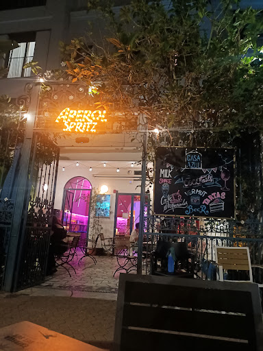 25082 la casa azul 1