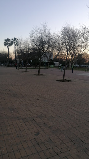 25558 la india cafe copas 1