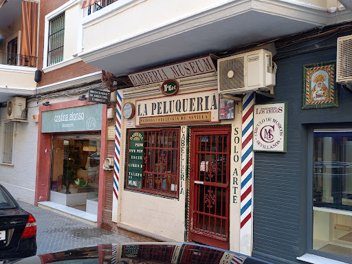 25798 la peluqueria 8211 curro silver barber