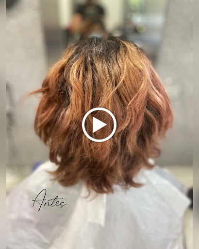 26408 lebron peluqueros sevilla