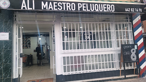 26939 maestro peluquero 1