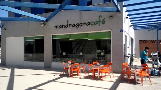 27024 mandragoracafe