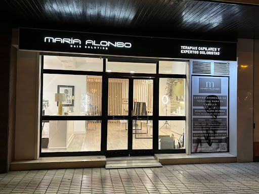 27250 maria alonso hair solution 1