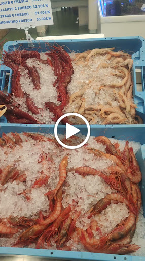 27358 mariscos caballero 1