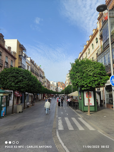 27783 mercado de triana