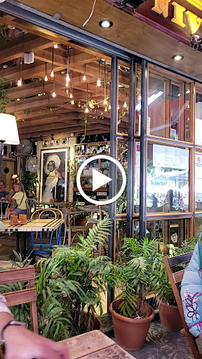 29527 paco pepe bar 1