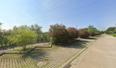 29825 parking alamillo 1