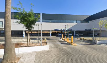 29828 parking aldi 1