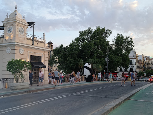 29992 parking mercado de triana aussa parkings