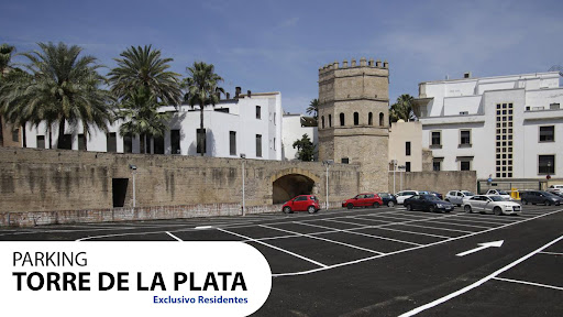 30133 parking torre de la plata residents only