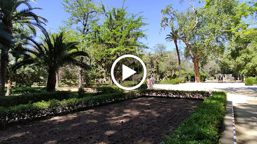 30174 parque de maria luisa 1