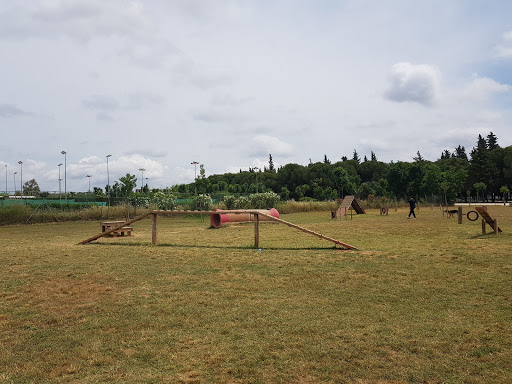 30179 parque de perros