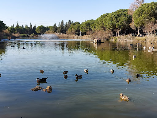 30181 parque infanta elena