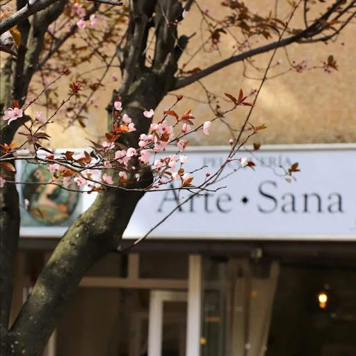 30461 peluqueria arte sana 1