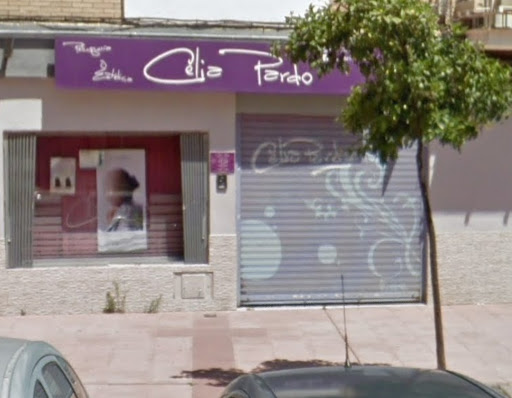 30599 peluqueria celia pardo 1