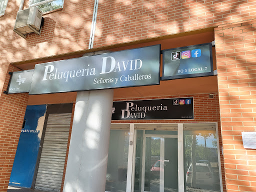 30636 peluqueria david 1