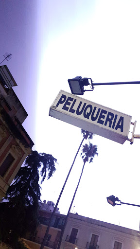 30777 peluqueria eladio 1