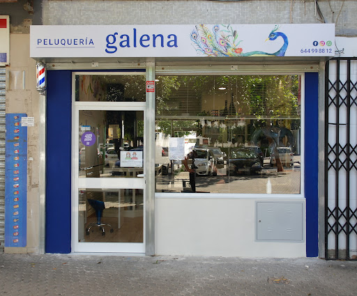 30865 peluqueria galena