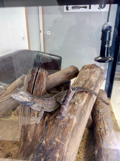 30905 peluqueria jaimex 1