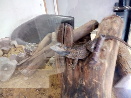 30905 peluqueria jaimex