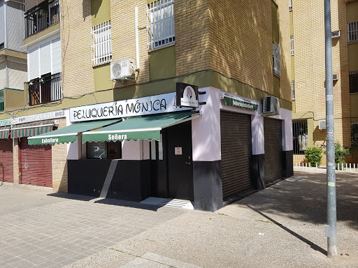 31074 peluqueria monica 1