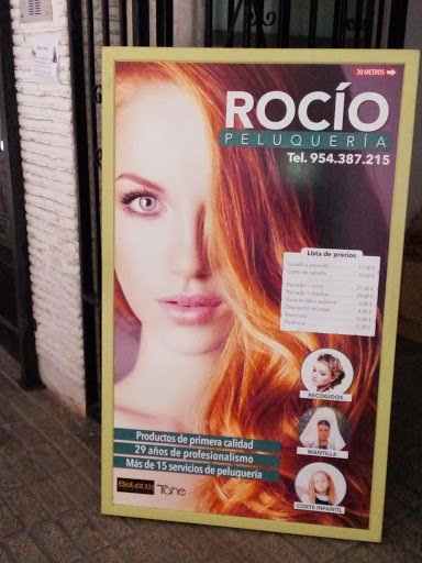 31175 peluqueria rocio 1