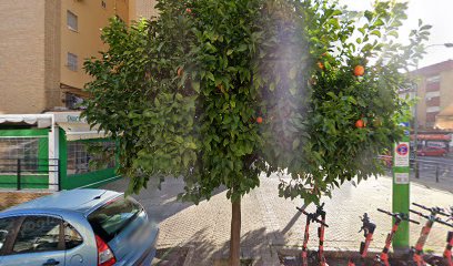 31272 peluqueria universal 1