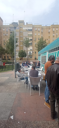 31485 pena cultural betica pino montano 1