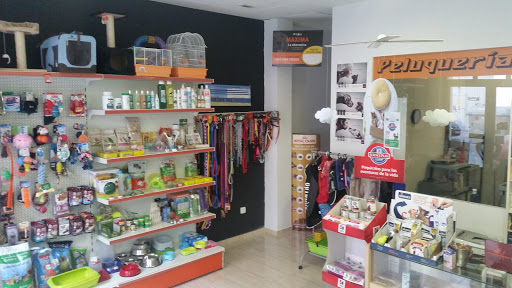 31612 pet dog grooming nervion