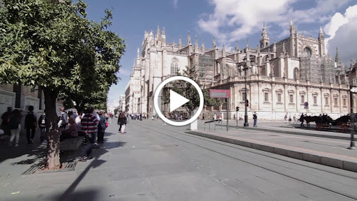 31621 petit comite 1