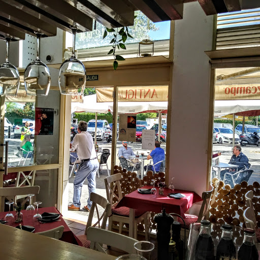 31940 pizzeria la antigua horno de lena