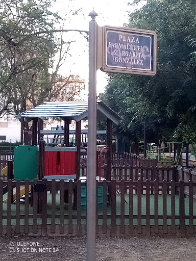 32107 plaza farmaceutica margarita gonzalez