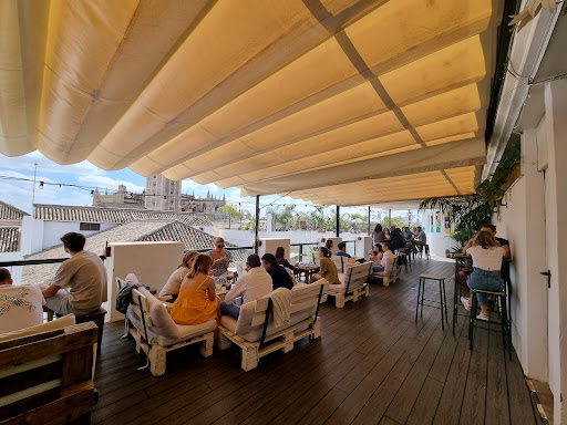 32655 pura vida terraza