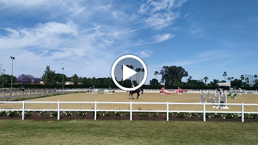 32884 real club pineda de sevilla 1