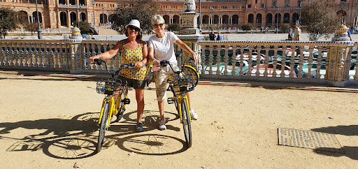 33011 rent a bike sevilla