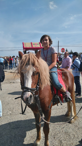 34810 restaurante rancho aliau 1