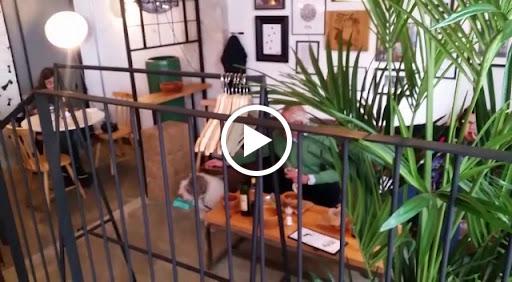 35023 restaurante toby eats the world 1