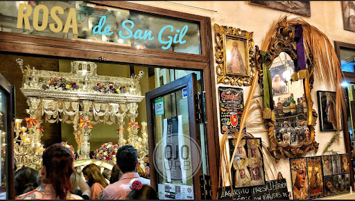 35431 rosa de san gil 1