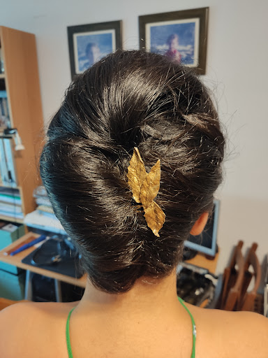 35514 ruiz de villegas peluqueros 1