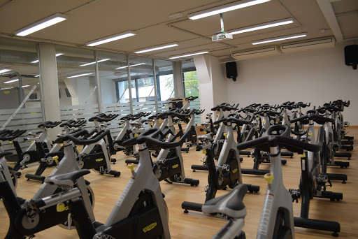 35568 sadus 8211 servicio de actividades deportivas de la universidad de sevilla pirotecnia