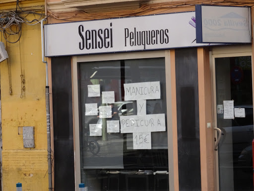 36106 sensei peluqueros 1