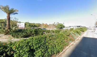 36309 sevilla vision s l sevilla 1