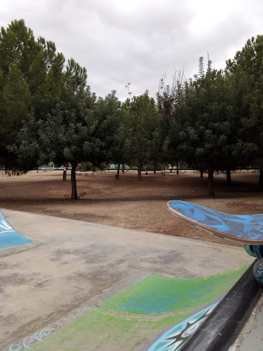 36584 skatepark alcosa