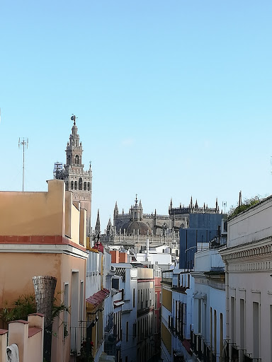36593 sleepin sevilla