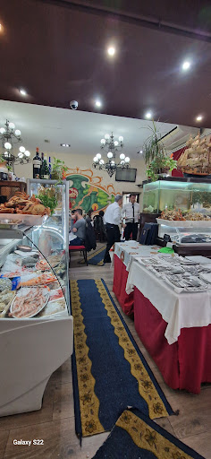 36751 sr mara sevilla sl