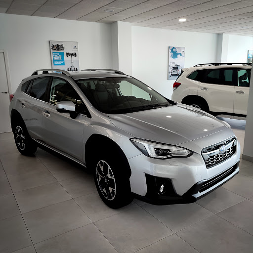 36865 subaru terrymovil