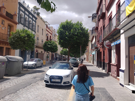 37338 taberna el canijo